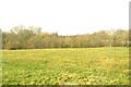 Pasture near Saxmundham