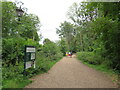 TQ2887 : Parkland Walk, Highgate by Malc McDonald