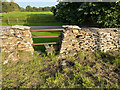 Stone Stile, West Crudwell