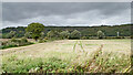 Staffordshire farmland north-west of Branston