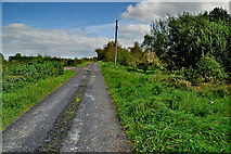 H5071 : Edenderry Road, Cloghfin by Kenneth  Allen
