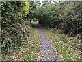 Footpath towards the Shropshire Way