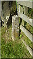 Old Bridge Marker near Rake Farm in Glaisdale