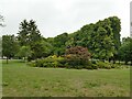 Shrubs in Devonport Park