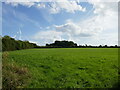 Grass field off Old Swanwick Colliery Road