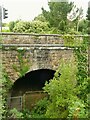 Disused railway tunnel under Devonport Park