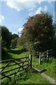 Rail trail near Holly Farm