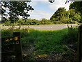 Footpath continues over the A142, Witchford Bypass