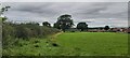 Field near Minsterley