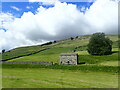 SD9197 : An old stone barn in Swaledale by Marathon