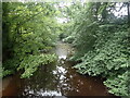 Walden Beck from Burton Bridge