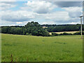 View NNW from bridleway 136, Farnham