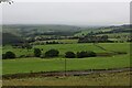 View from the Edge of Gallows Pole Hill Plantation