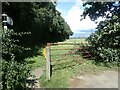 Footpath from Molehill Road