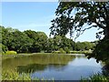 Pond, Hillside Farm