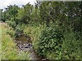 Nant Hirnant at Troed-yr-esgair