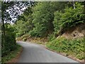 The road near Glynhafren