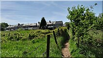 SS9085 : Brynmenyn footpath by Colin Prosser