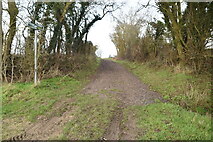 TL5949 : Footpath becomes byway by N Chadwick