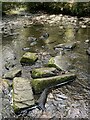 Rocky stream in Penllergaer Woods