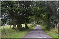 Rural road to Talysarn