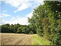 Public footpath near Caldewbeck