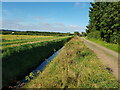 Track and drain off Grunty Fen Road, Witchford