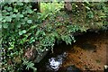 Lustleigh: Stream culvert