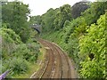 Railway west from The Elms bridge