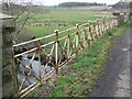 Ornate Railings on Low Angerton Bridge