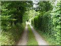 Private lane off Crondall Lane, Farnham