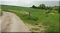 Bridleway junction by South Farm Cottage