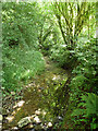 A tributary of the River Wey (North Branch)