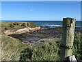 NU0054 : Coastal Northumberland : View to cliffs on north side of Dodd's Well, Berwick-upon-Tweed by Richard West