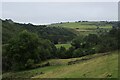 Looking up Black Brook Valley towards Pierce Hey Farm