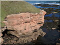 NU0054 : Coastal Northumberland : Sandstone at Brotherston's Hole, near Berwick-upon-Tweed by Richard West