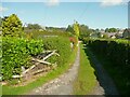 Path from Mill Isle to Front Street, Wolsingham