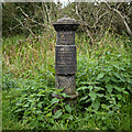 J3370 : Boundary Post, Belfast by Rossographer