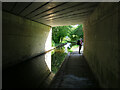 Llangollen Canal under the A539