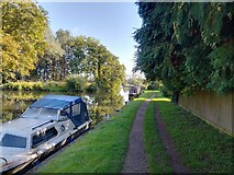 SU6269 : Towing path by Kennet and Avon Canal by Oscar Taylor