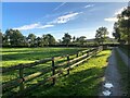 Track and Footpath near Hulme End