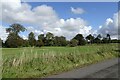 Road south of the Deer Park