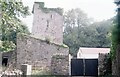 S1957 : Borris or Black Castle thrice named - Twomileborris, County Tipperary by Martin Richard Phelan