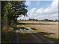 Footpath towards Burnthouse Lane