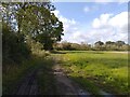 Footpath towards Burnthouse Lane