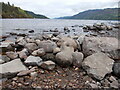 Loch Ness shoreline on a dull day