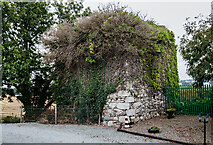S8114 : Castles of Leinster: Taylorstown, Wexford (1) by Mike Searle