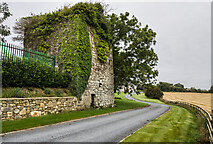 S8114 : Castles of Leinster: Taylorstown, Wexford (2) by Mike Searle