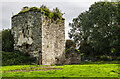 S7018 : Castles of Leinster: Ballyfarnoge, Wexford (1) by Mike Searle
