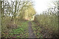 Muddy footpath